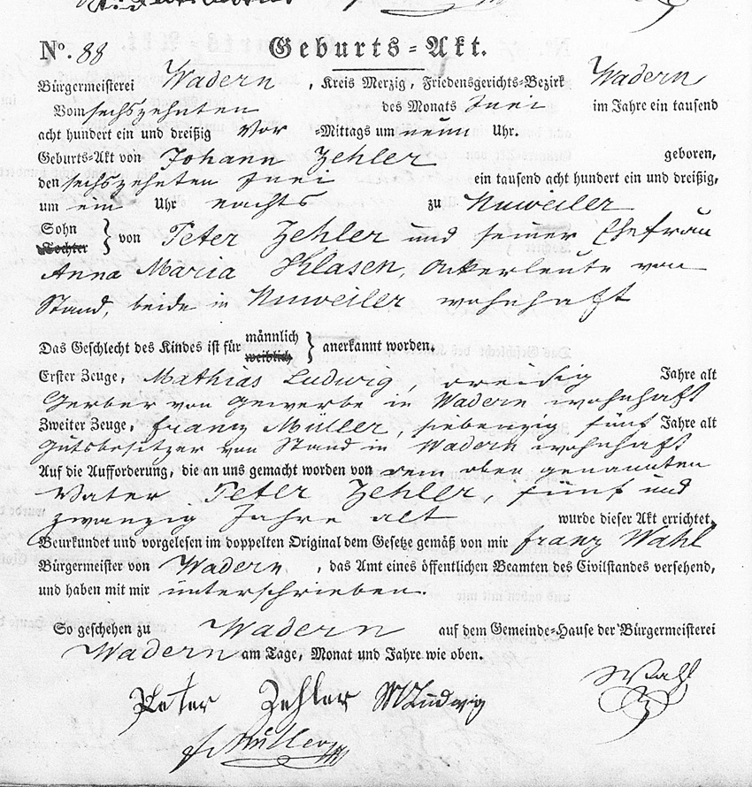 Birth Record