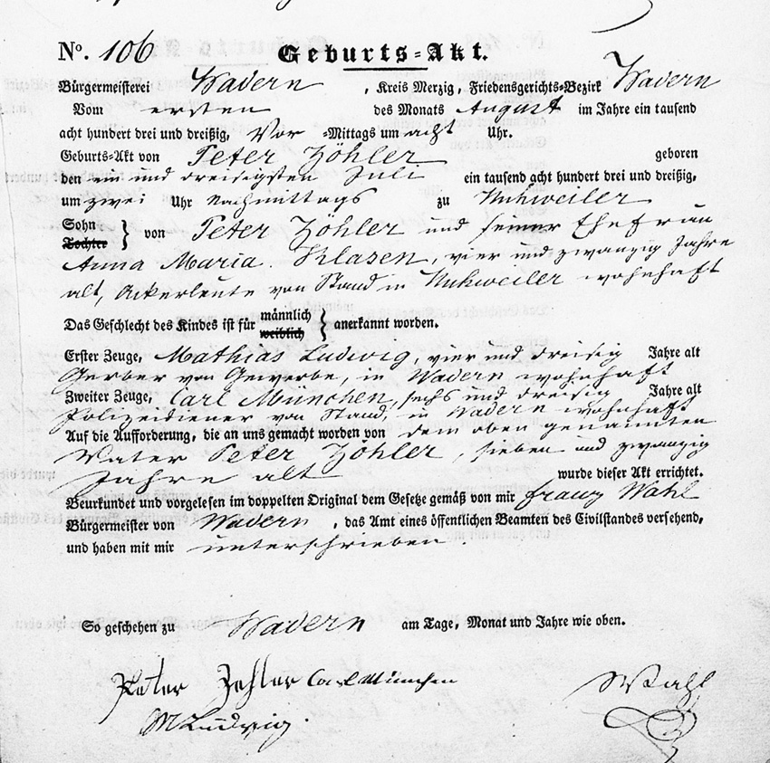 Birth Record