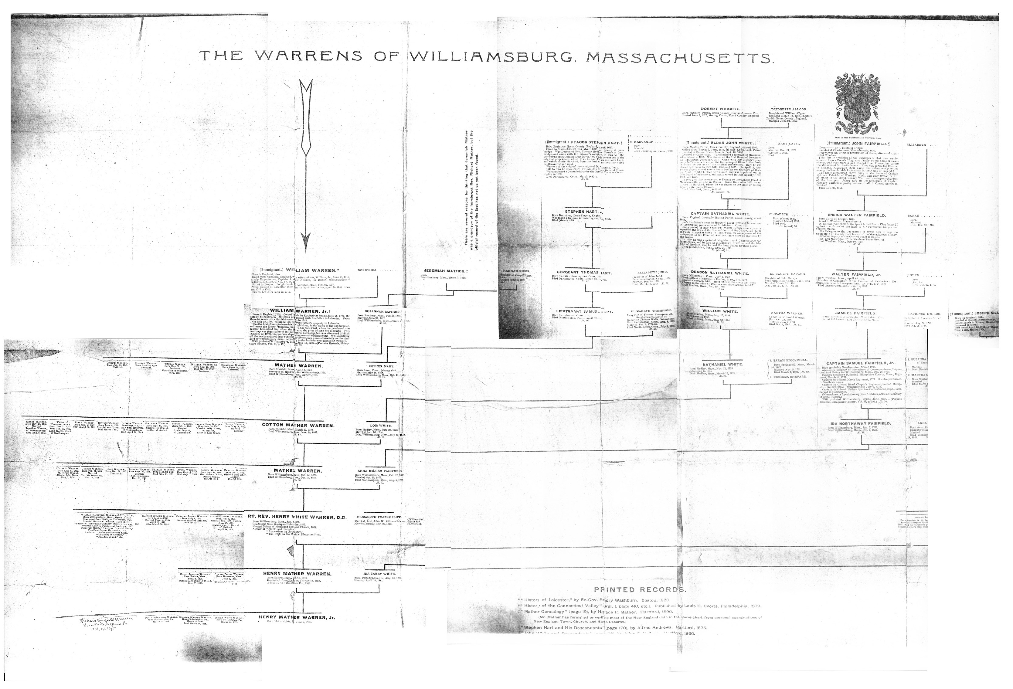 Warren Family Tree